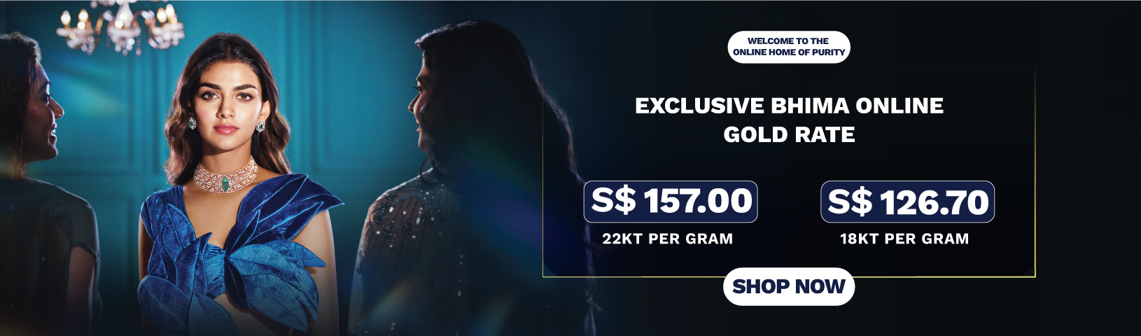 Full width banner section image alt