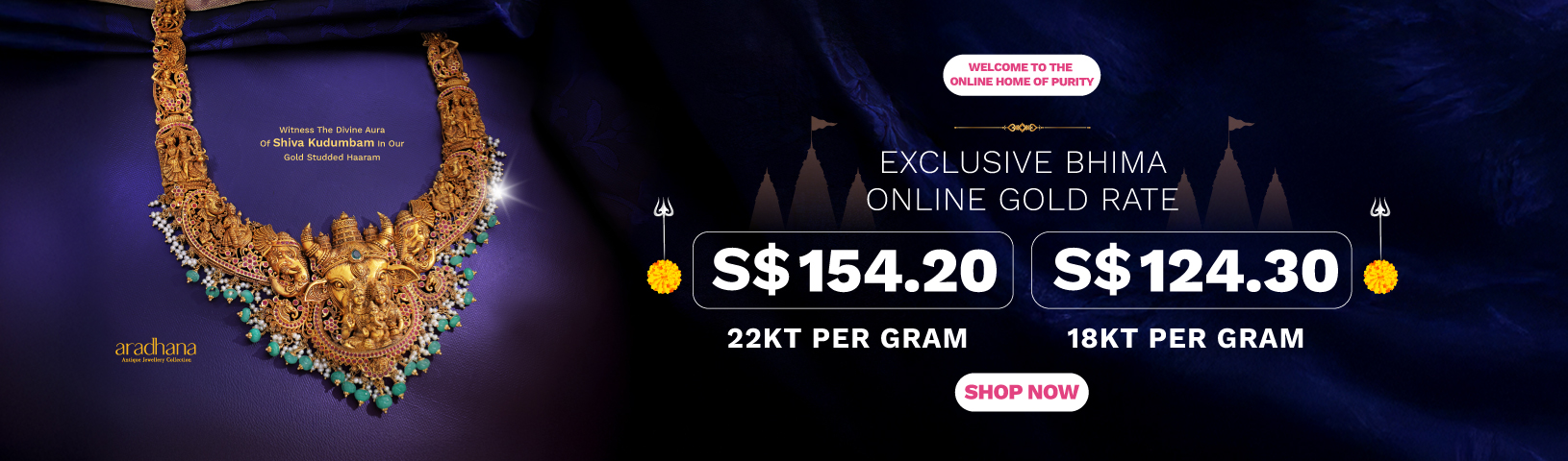 Full width banner section image alt