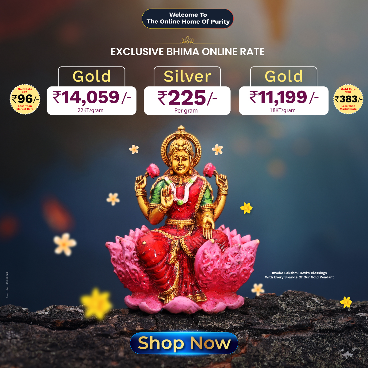 Full width banner section image alt