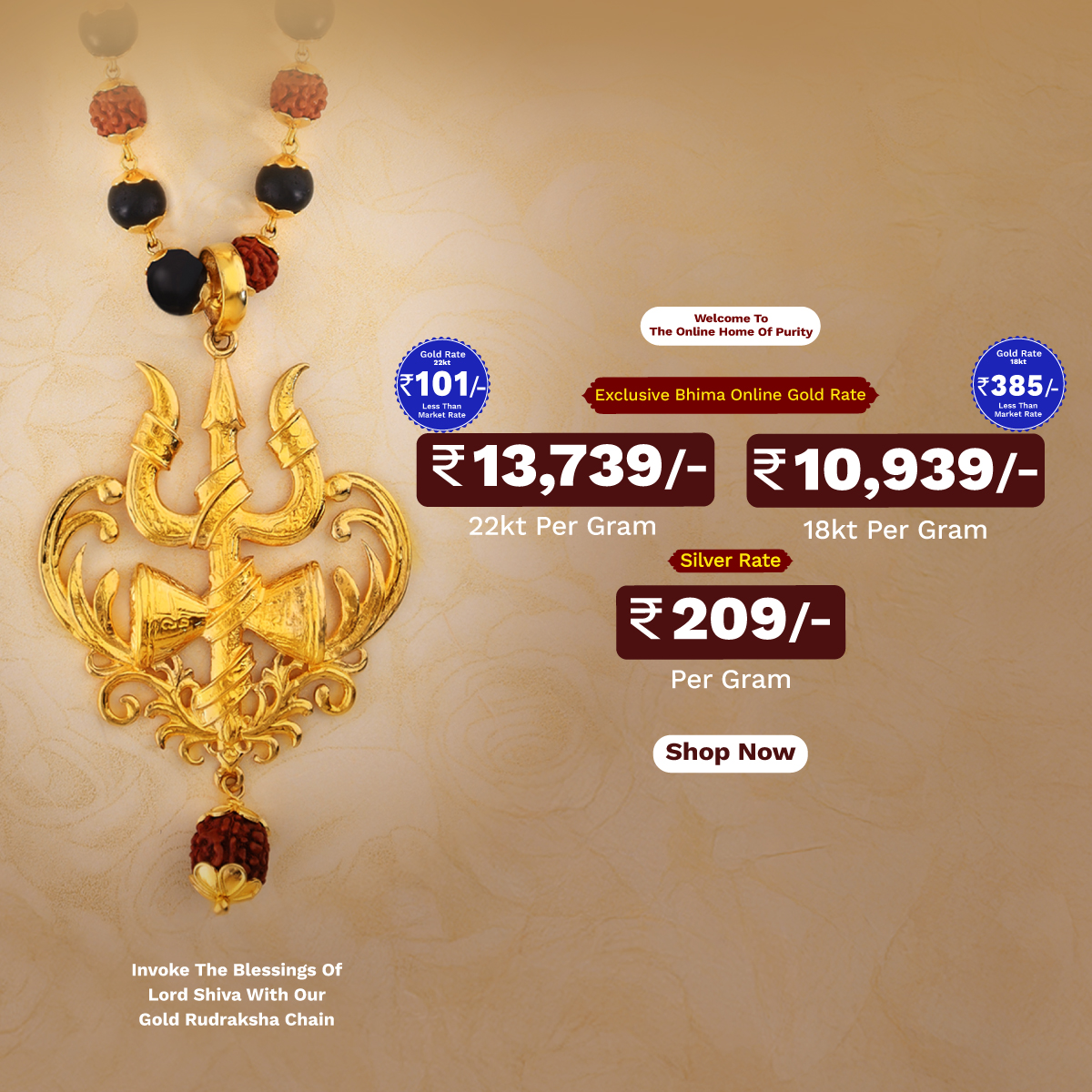Full width banner section image alt