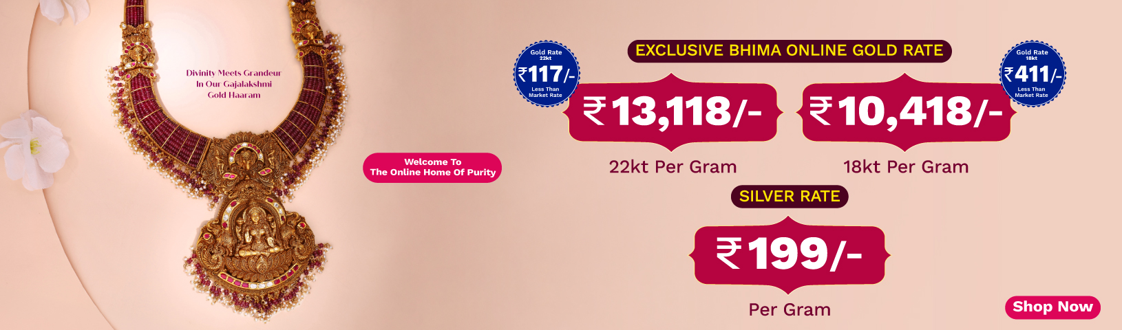 Full width banner section image alt