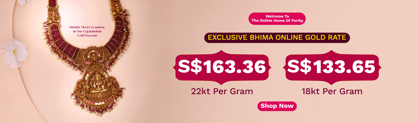 Full width banner section image alt