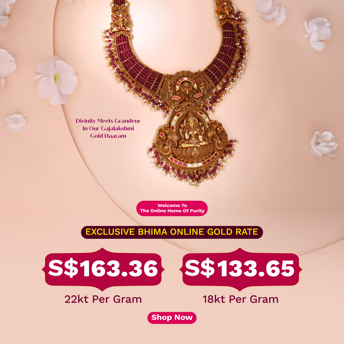 Full width banner section image alt