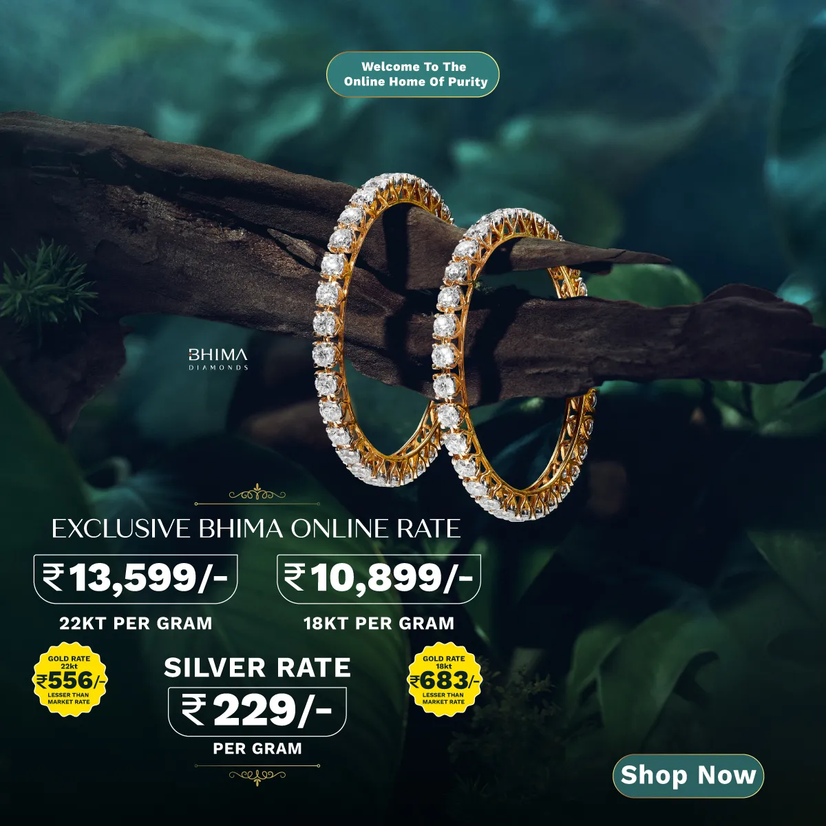 Full width banner section image alt