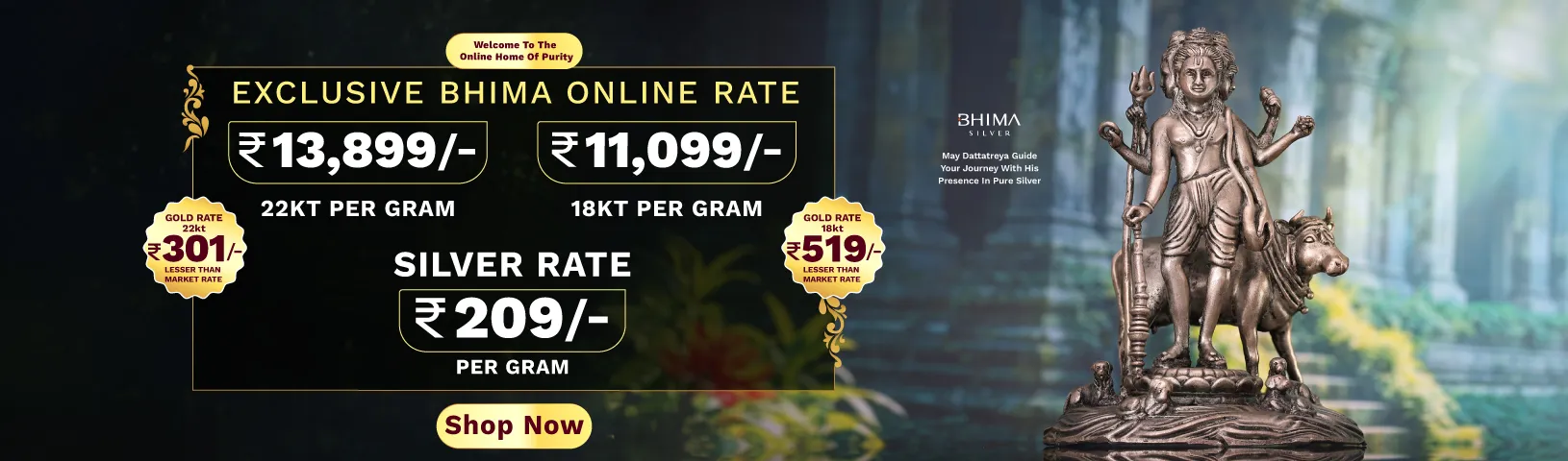 Full width banner section image alt