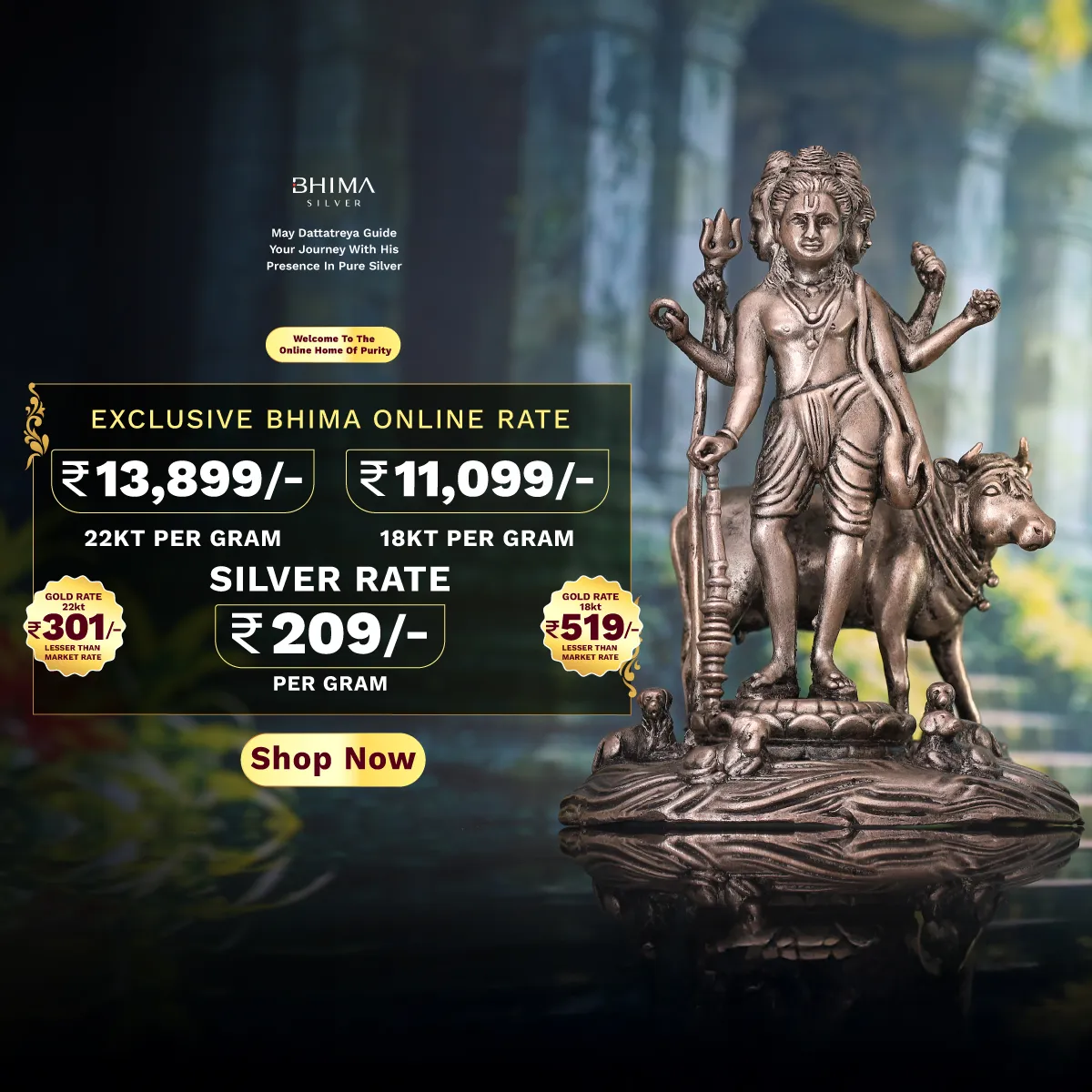 Full width banner section image alt