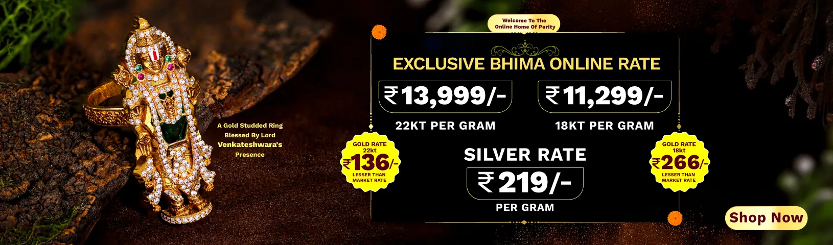 Full width banner section image alt