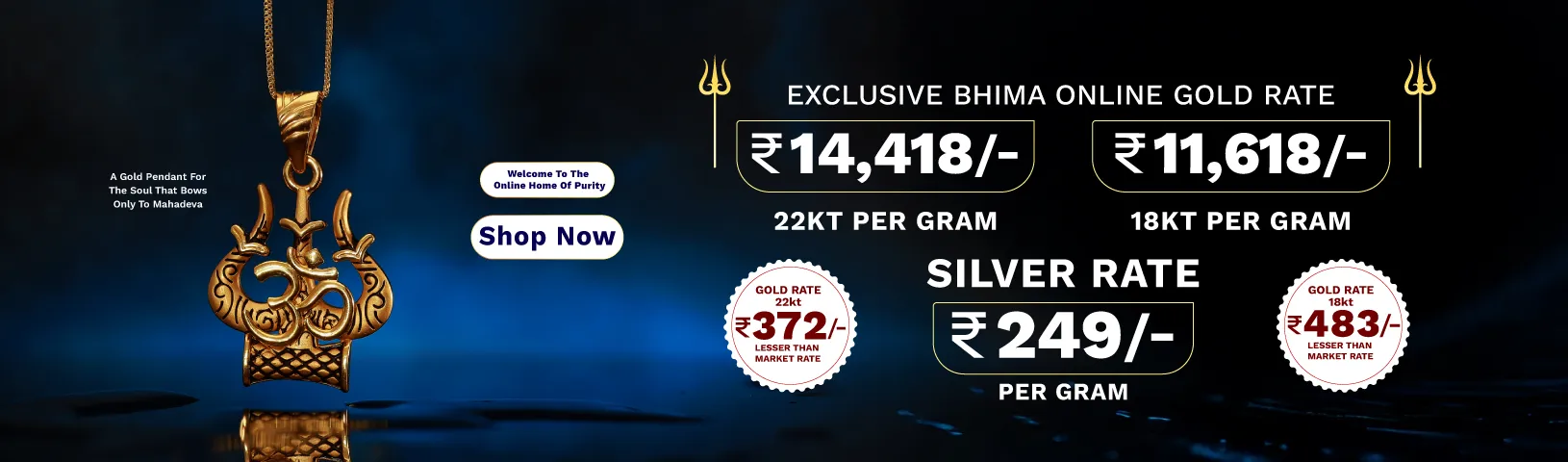 Full width banner section image alt