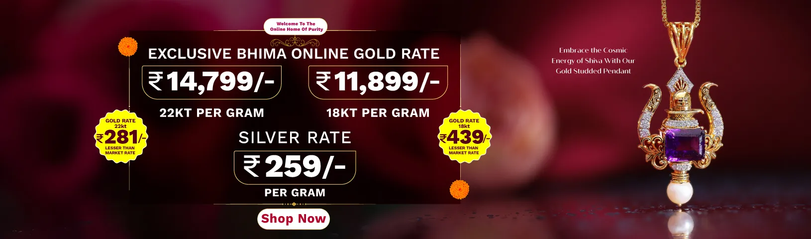 Full width banner section image alt