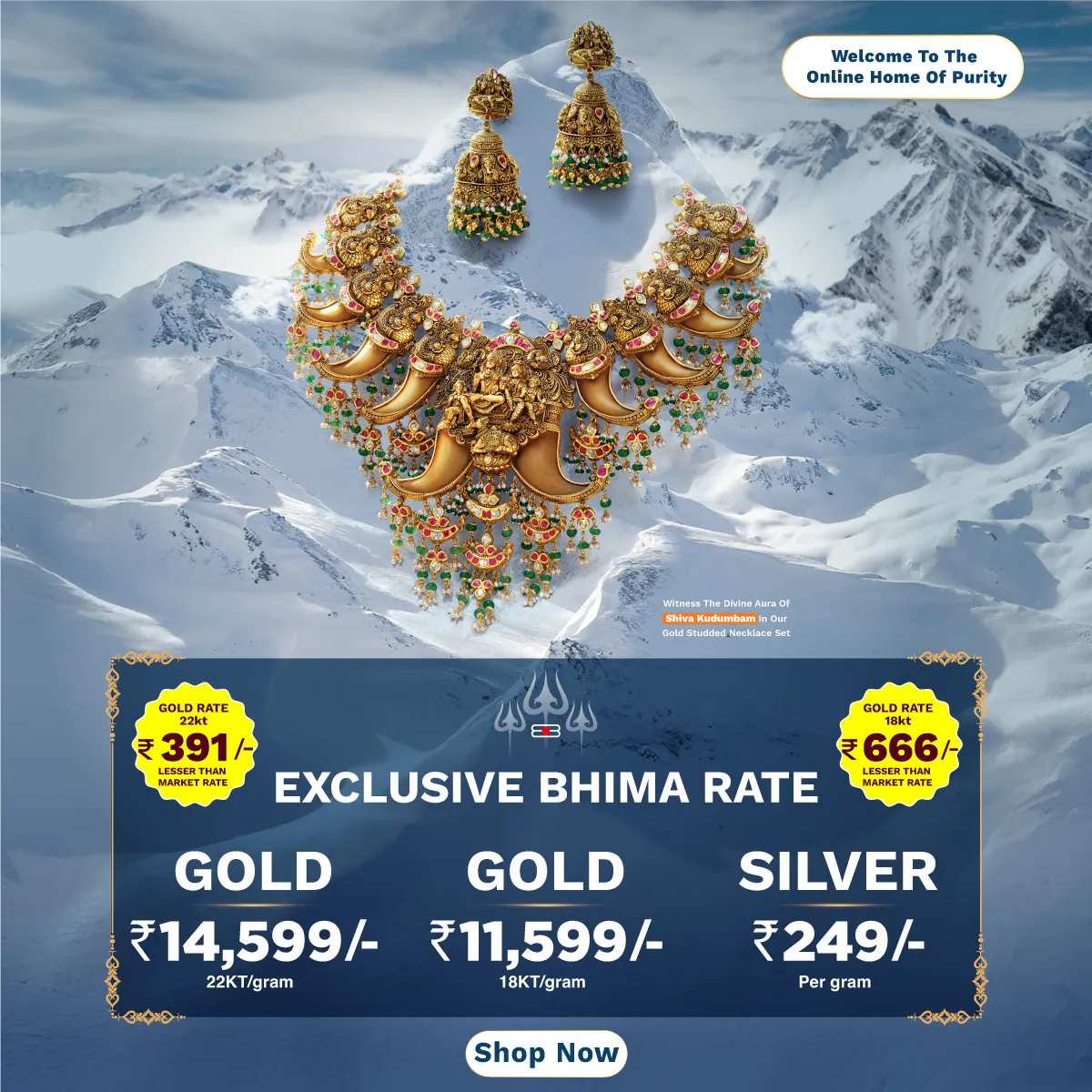 Full width banner section image alt