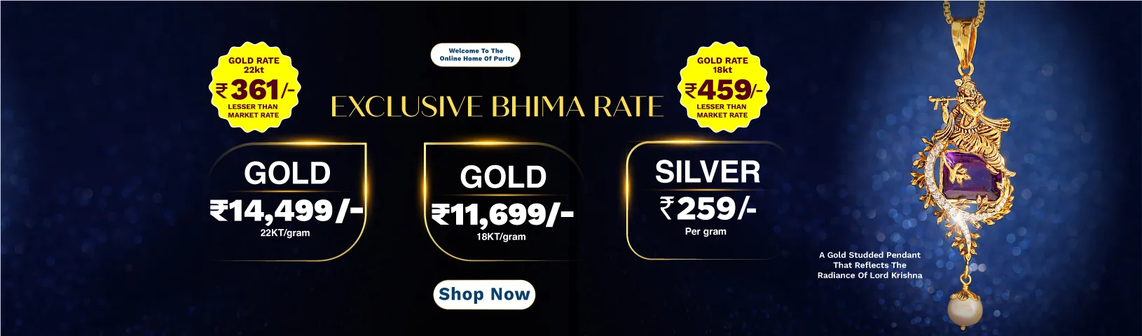 Full width banner section image alt