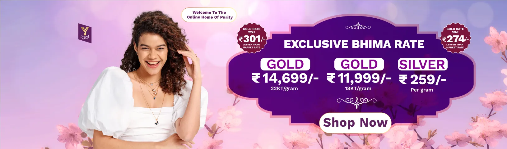 Full width banner section image alt