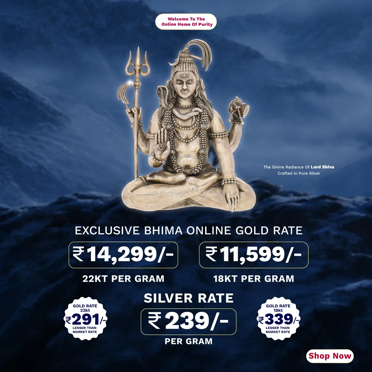 Full width banner section image alt