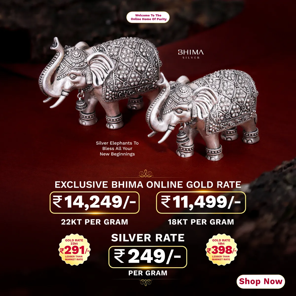 Full width banner section image alt