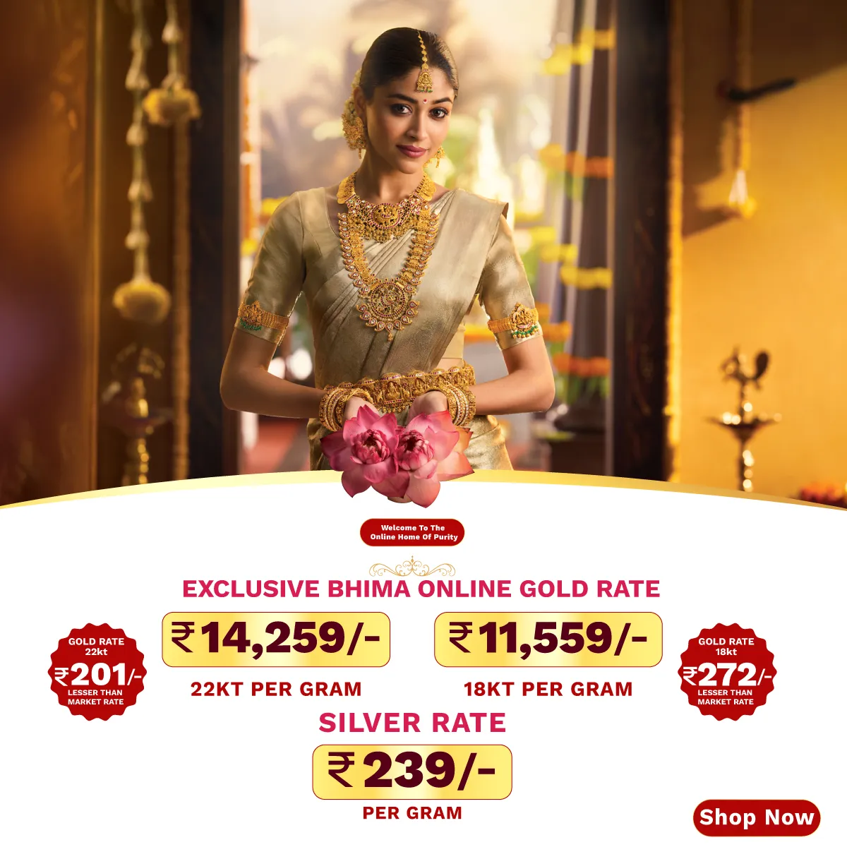 Full width banner section image alt