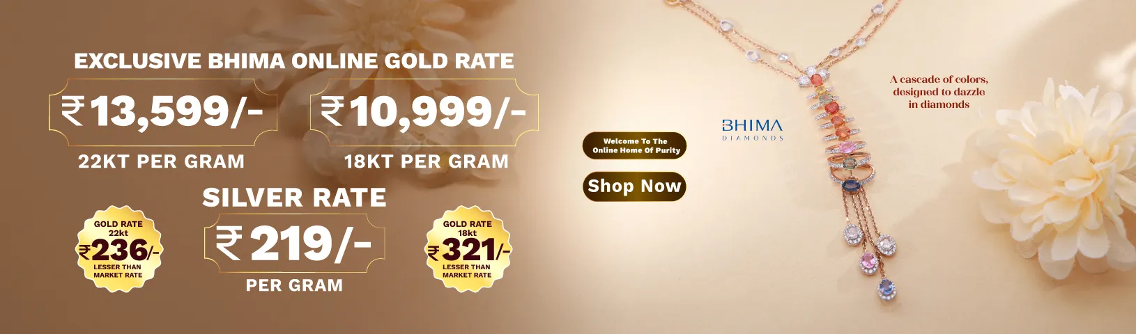 Full width banner section image alt