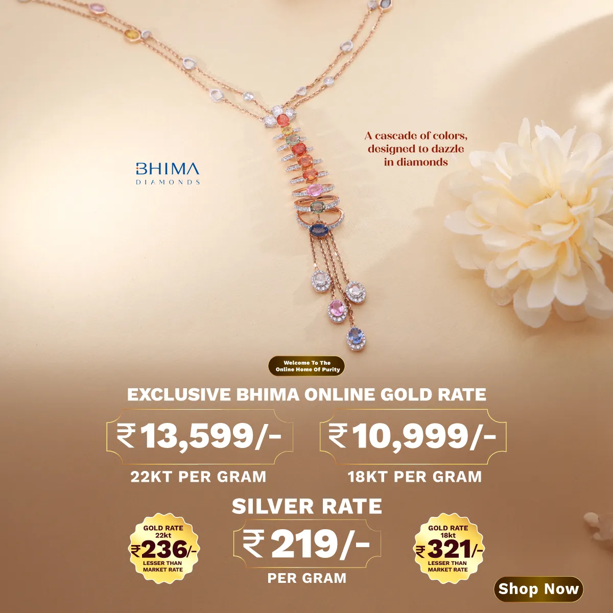 Full width banner section image alt