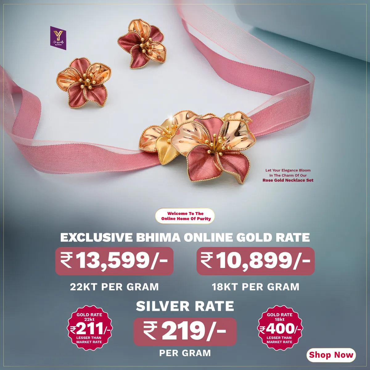 Full width banner section image alt