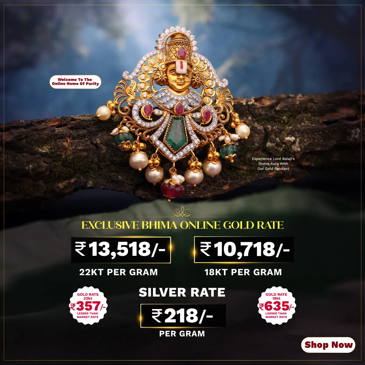 Full width banner section image alt