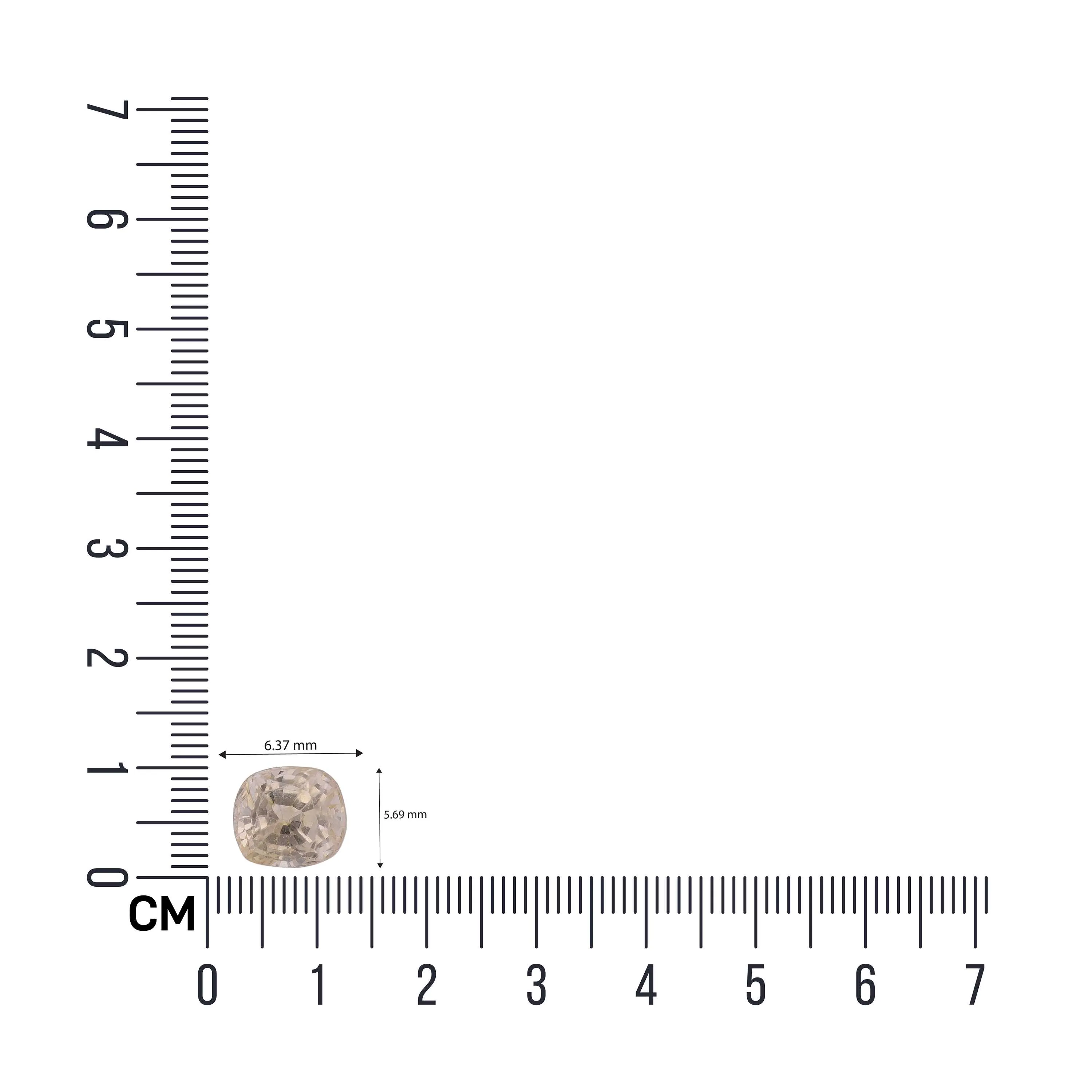 Picture of the product